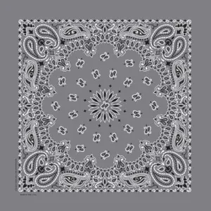 BD2505 Bandana Paisley Charcoal