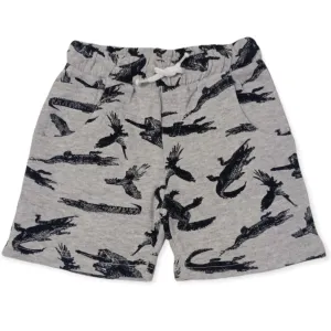 Boys Cotton Short - Dinosaur - Grey