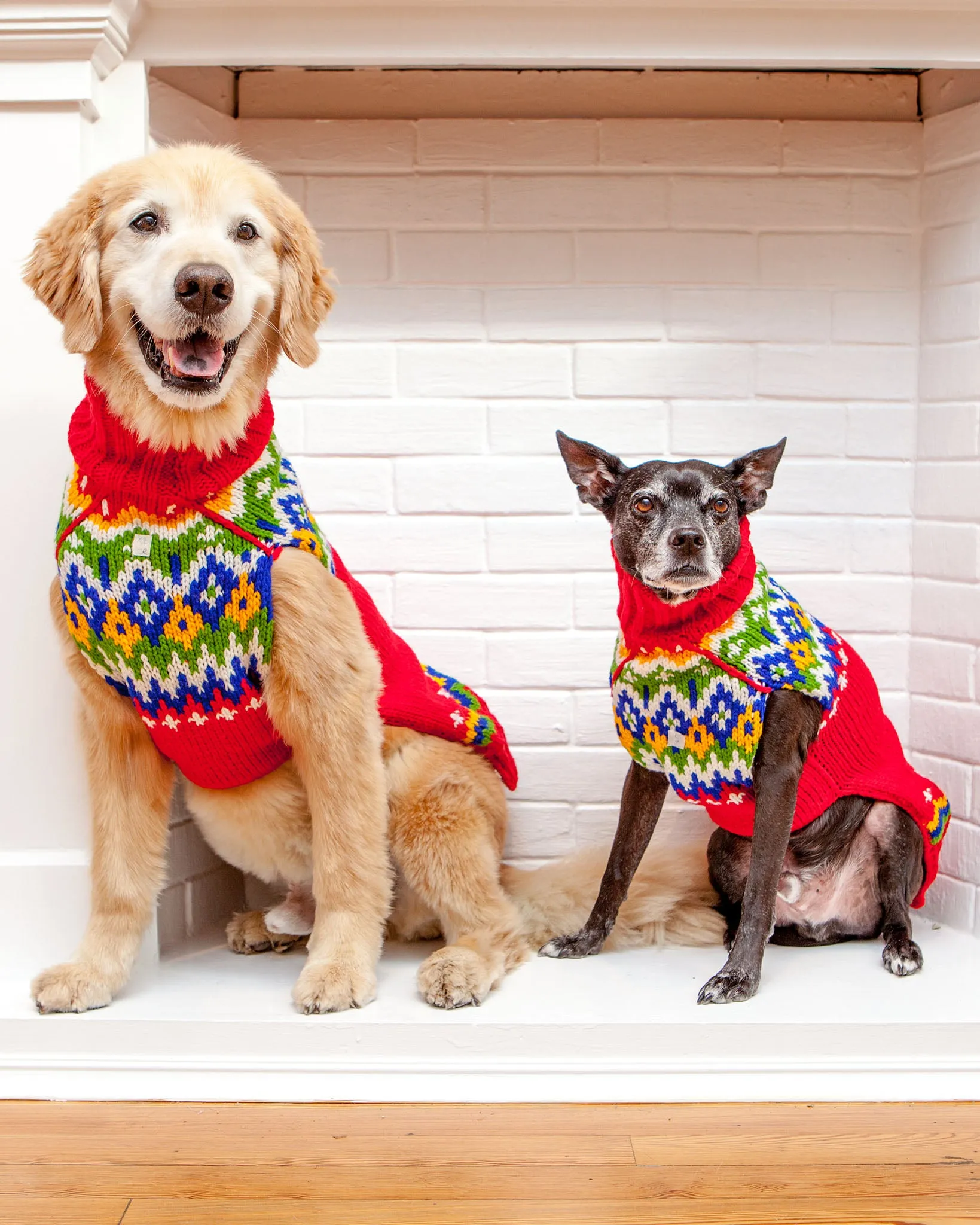 Festive Fairisle Dog Sweater << CLEARANCE >>