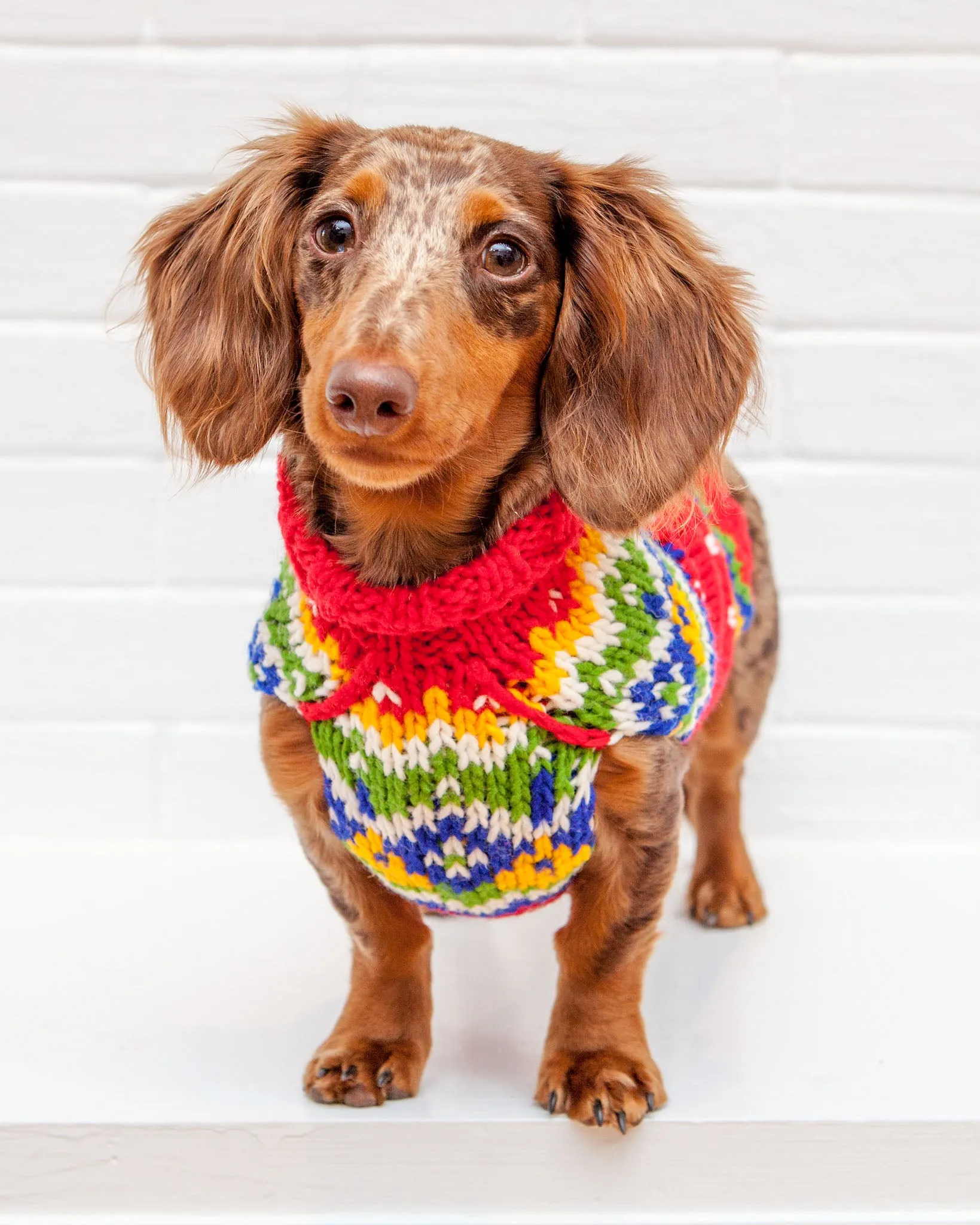 Festive Fairisle Dog Sweater << CLEARANCE >>