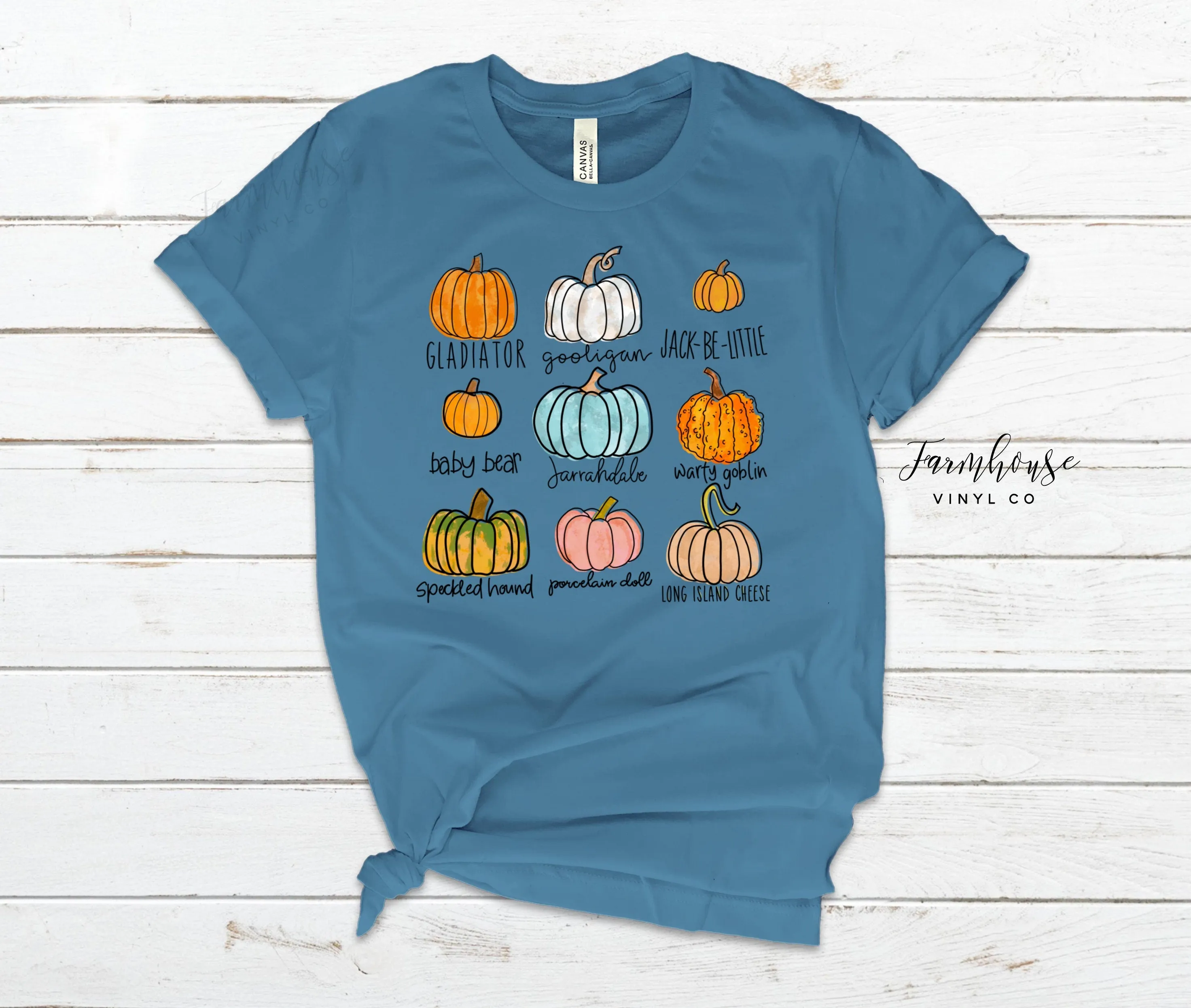 Little Things Colorful Pumpkin Shirt