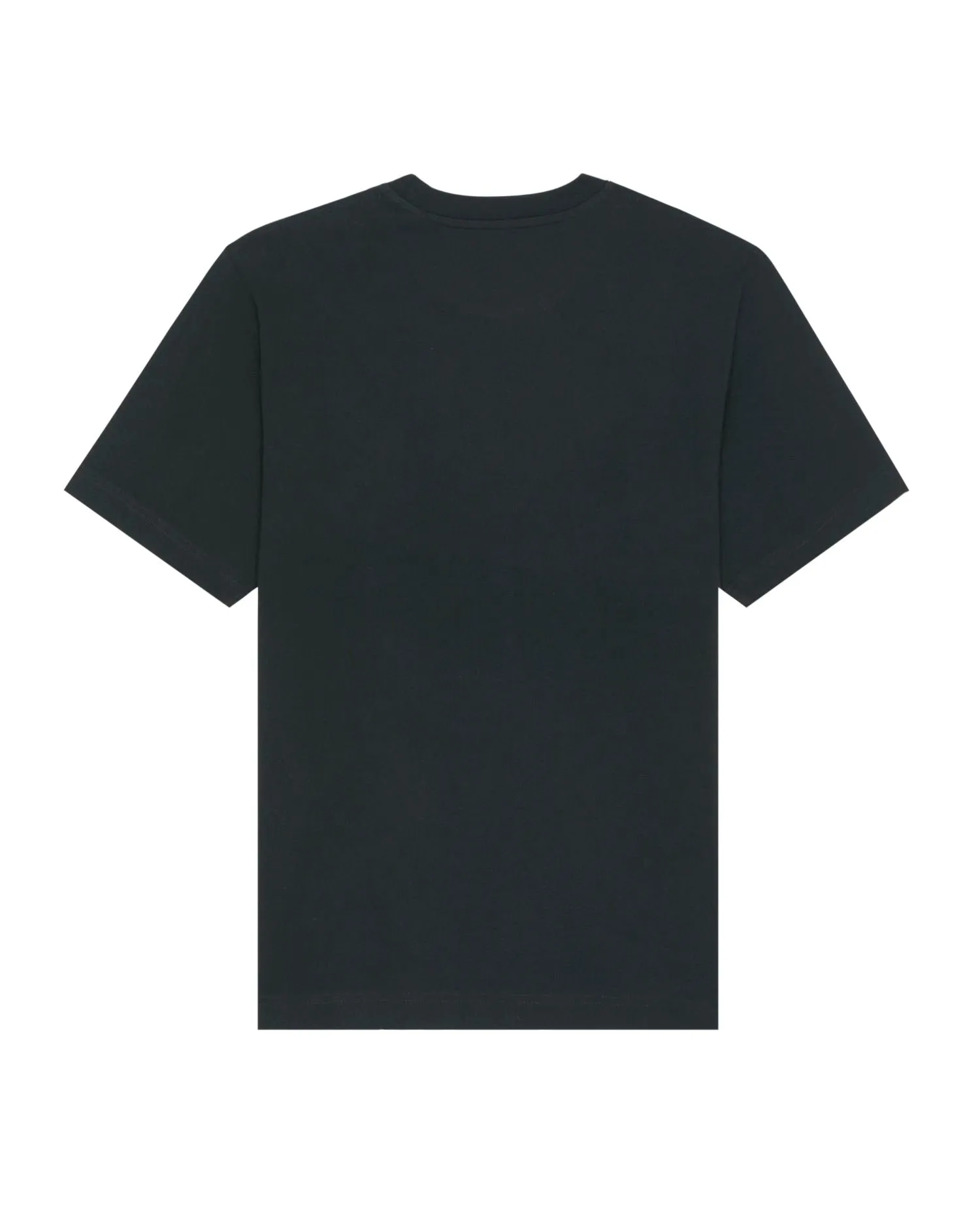 Unisex Heavyweight T-Shirt - 240gr | Freestyler STTU788